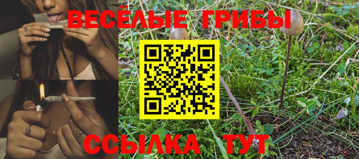 Галлюциногенные грибы Magic Shrooms  Вход с VPN  Псилоцибиновые грибы Cubensis  Ухта 
